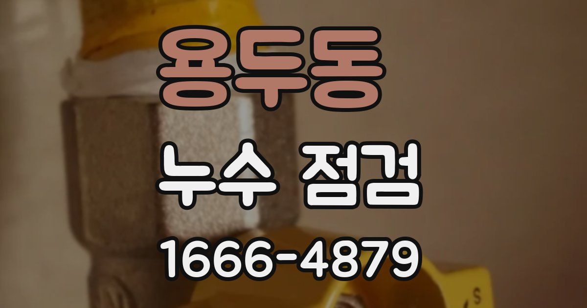 용두동 누수 점검