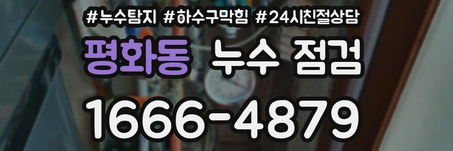 평화동 누수 점검