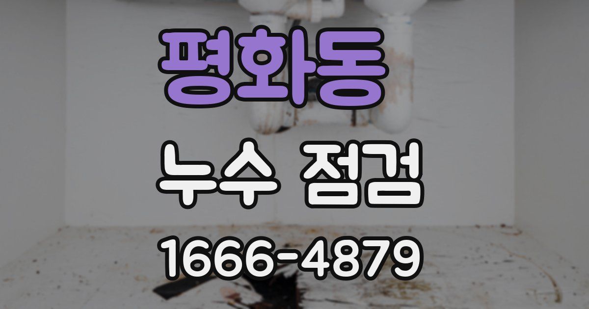 평화동 누수 점검