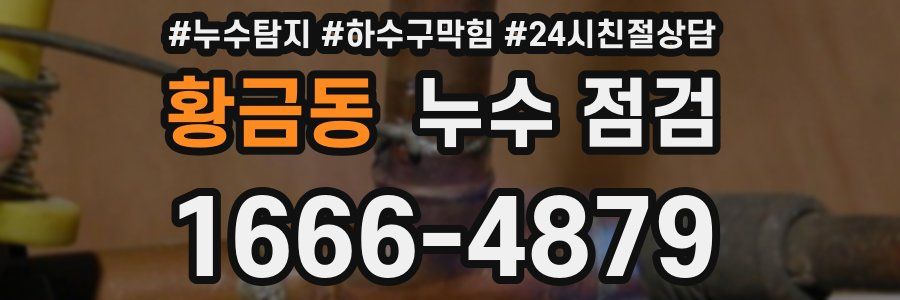 황금동 누수 점검