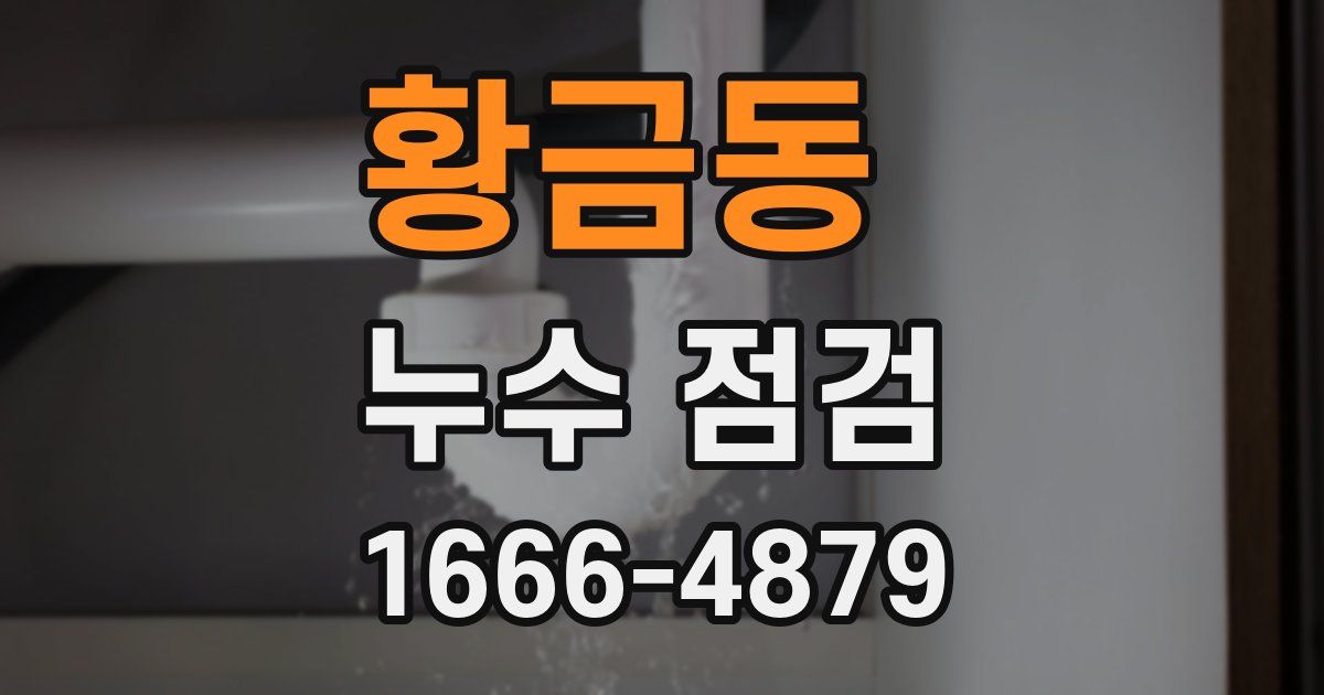황금동 누수 점검
