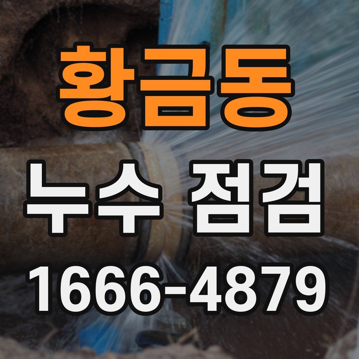 황금동 누수 점검