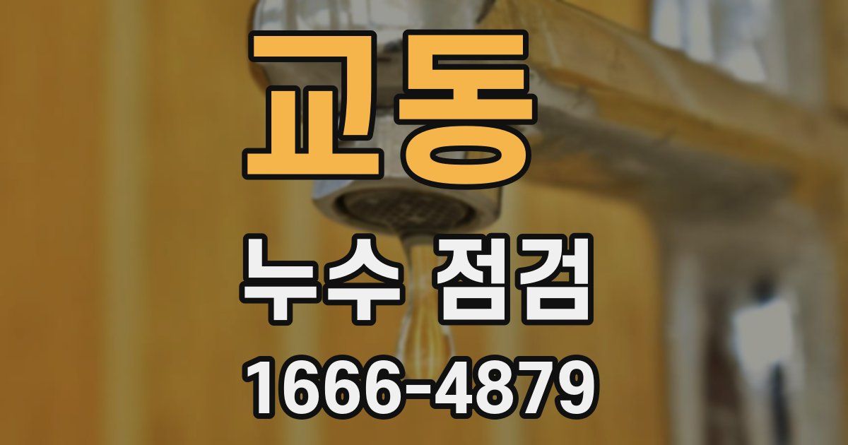교동 누수 점검