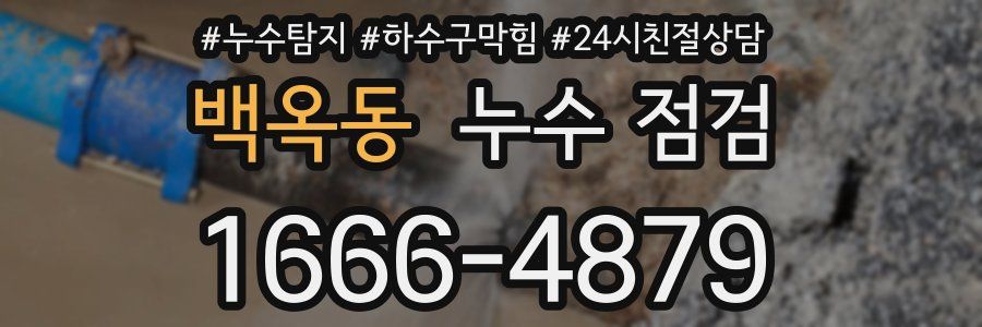 백옥동 누수 점검