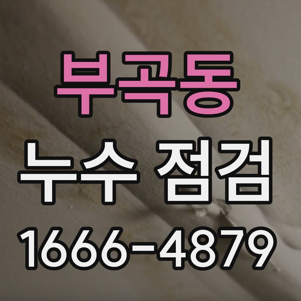 부곡동 누수 점검