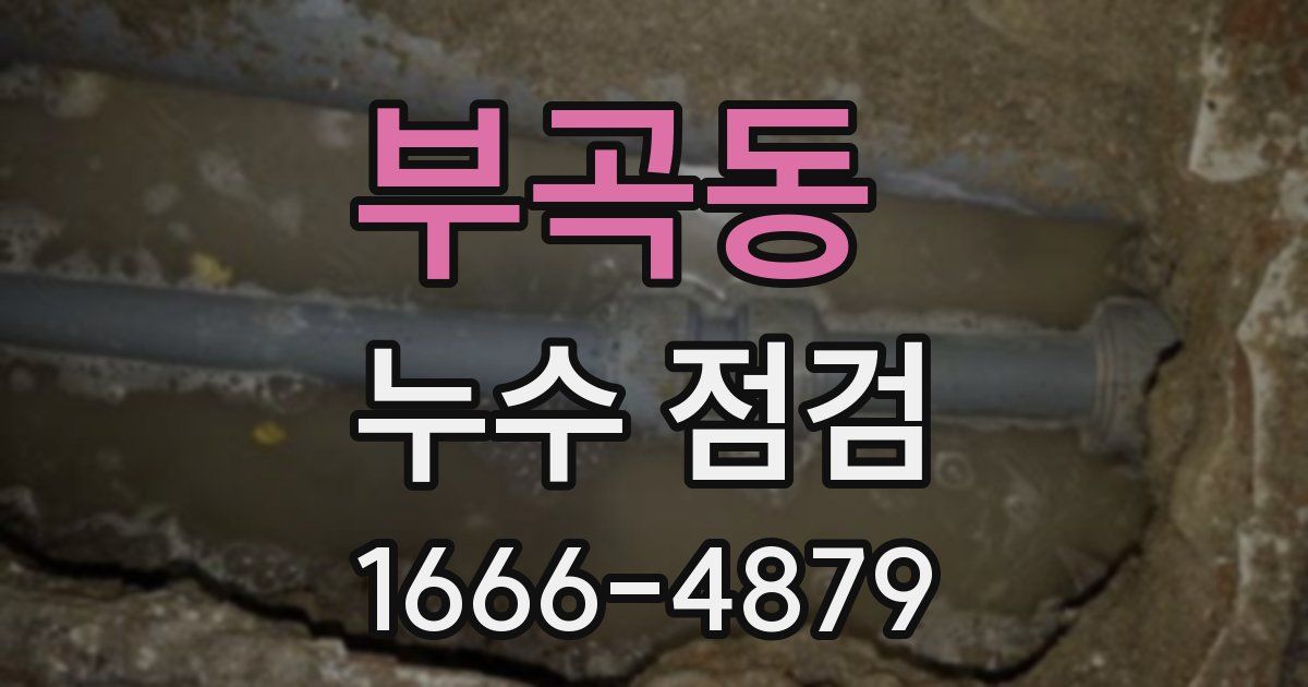 부곡동 누수 점검