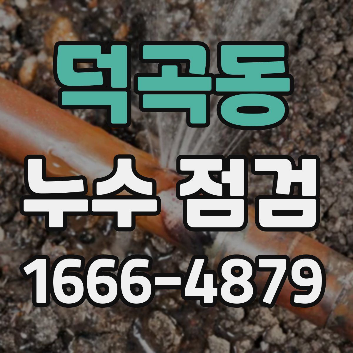 덕곡동 누수 점검