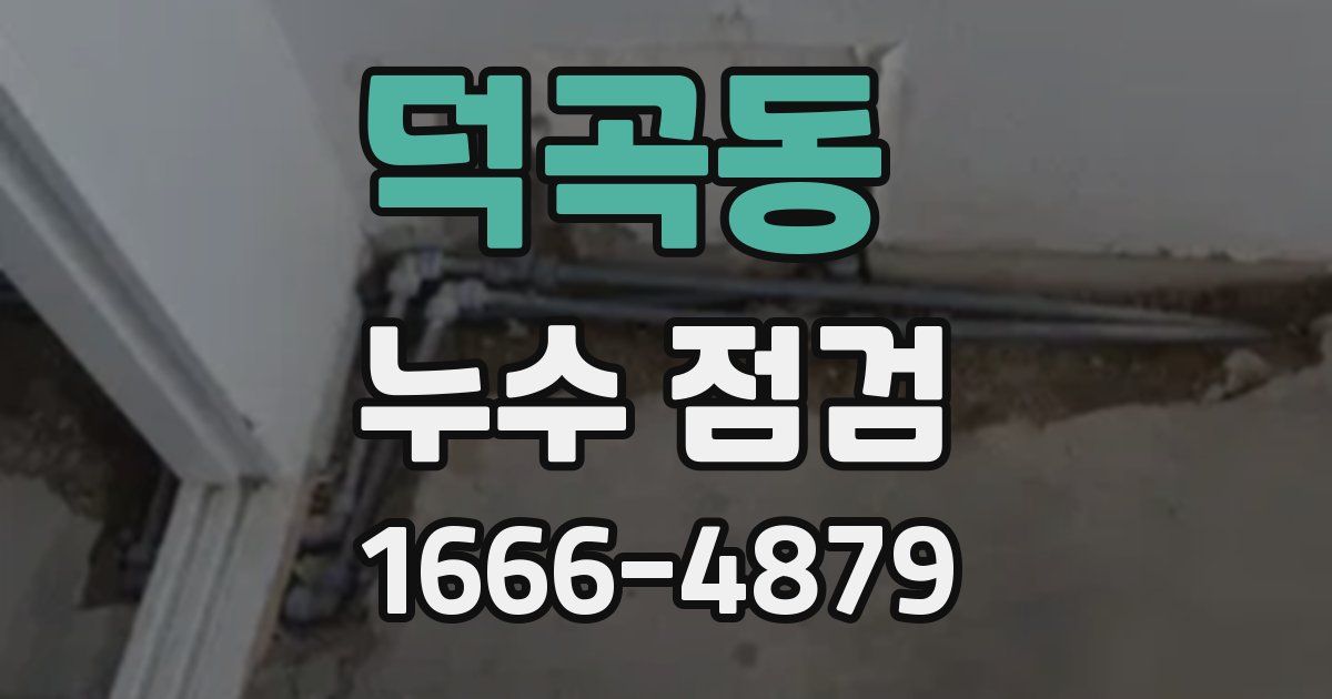 덕곡동 누수 점검