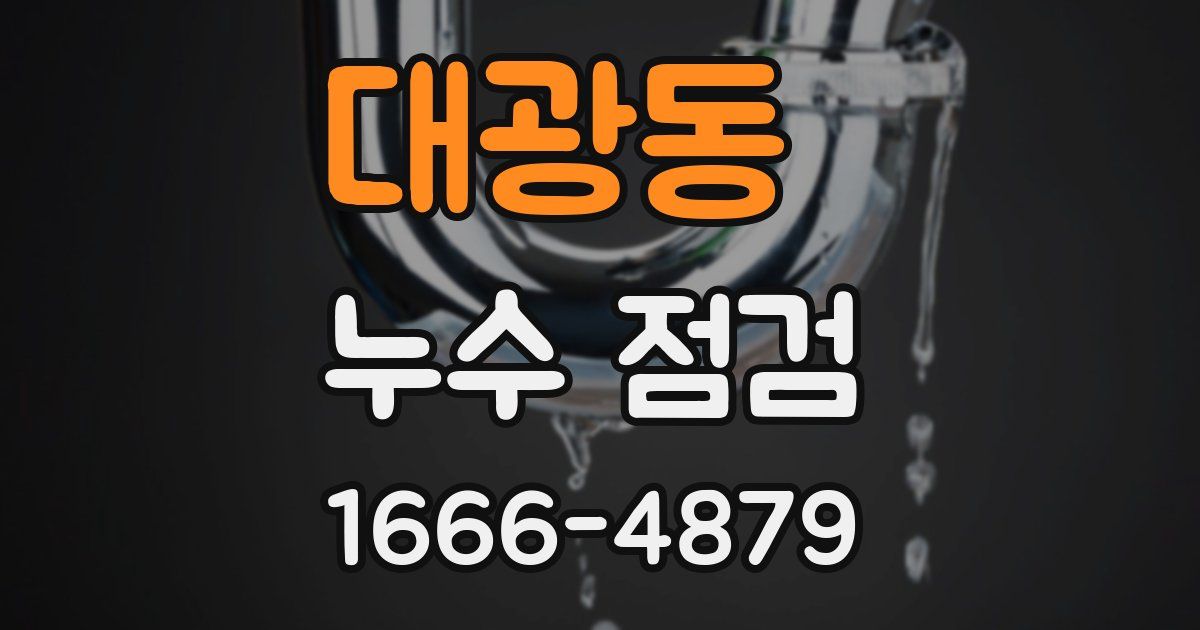 대광동 누수 점검