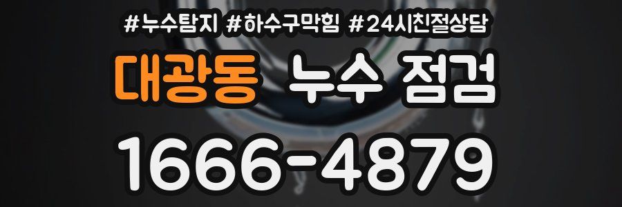 대광동 누수 점검
