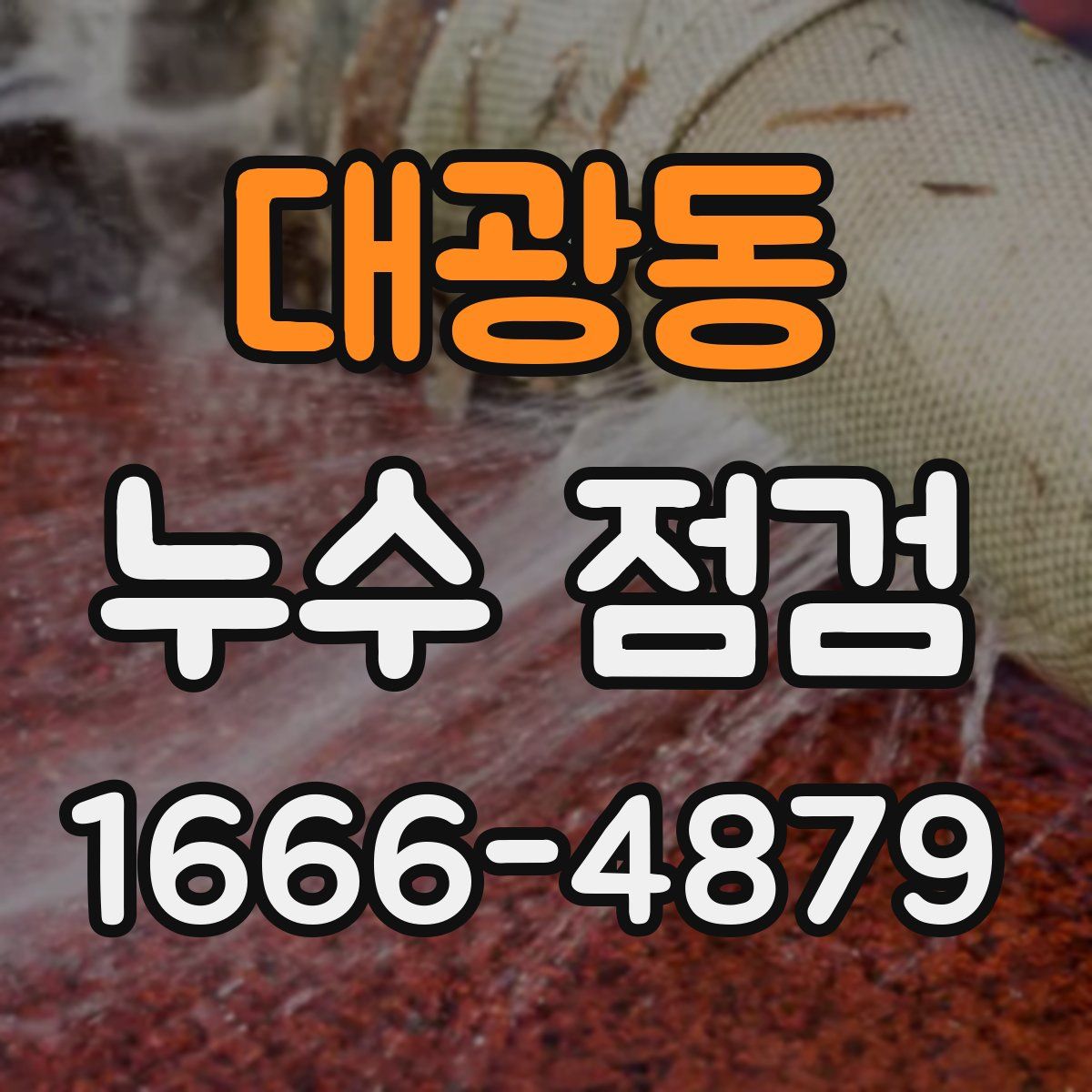 대광동 누수 점검