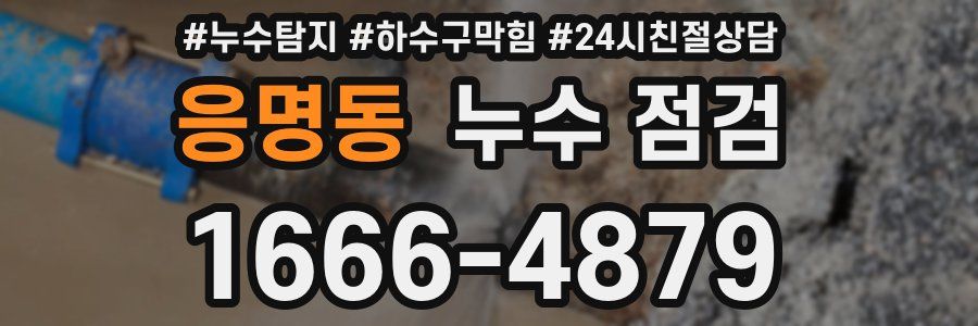 응명동 누수 점검