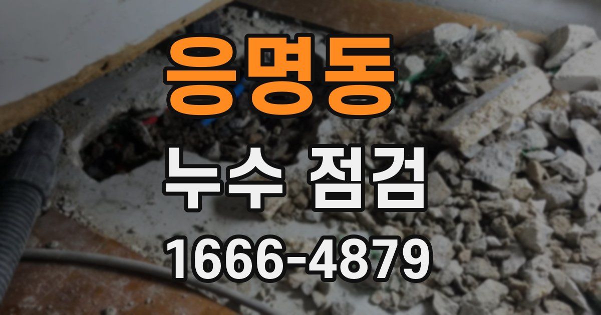 응명동 누수 점검
