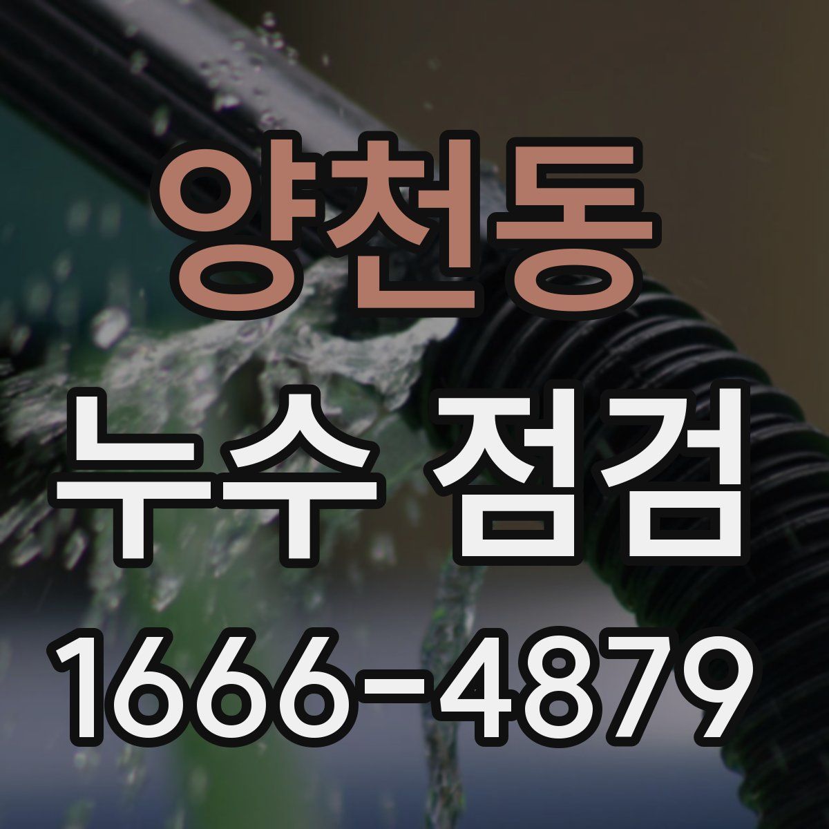 양천동 누수 점검