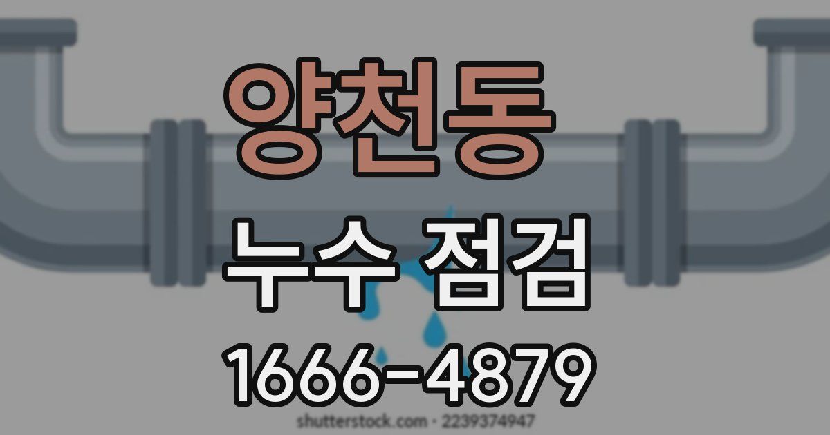 양천동 누수 점검