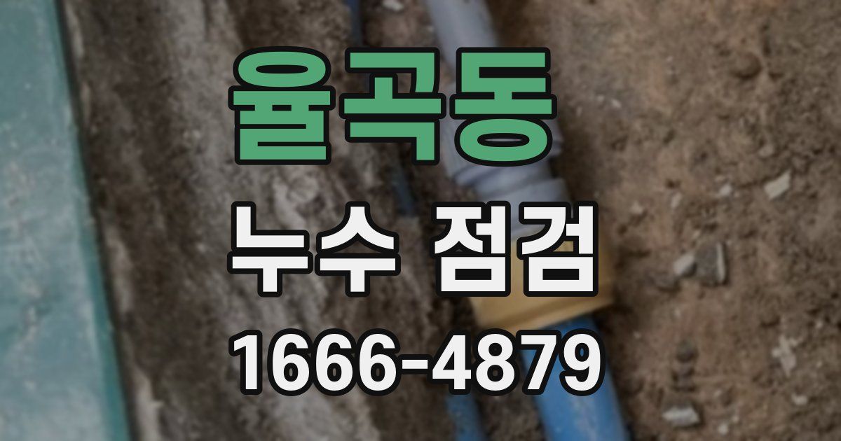 율곡동 누수 점검