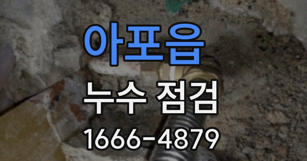 아포읍 누수 점검