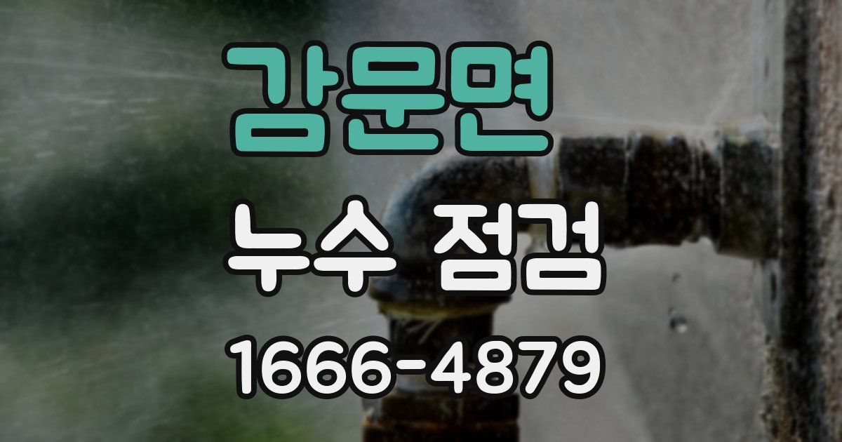 감문면 누수 점검