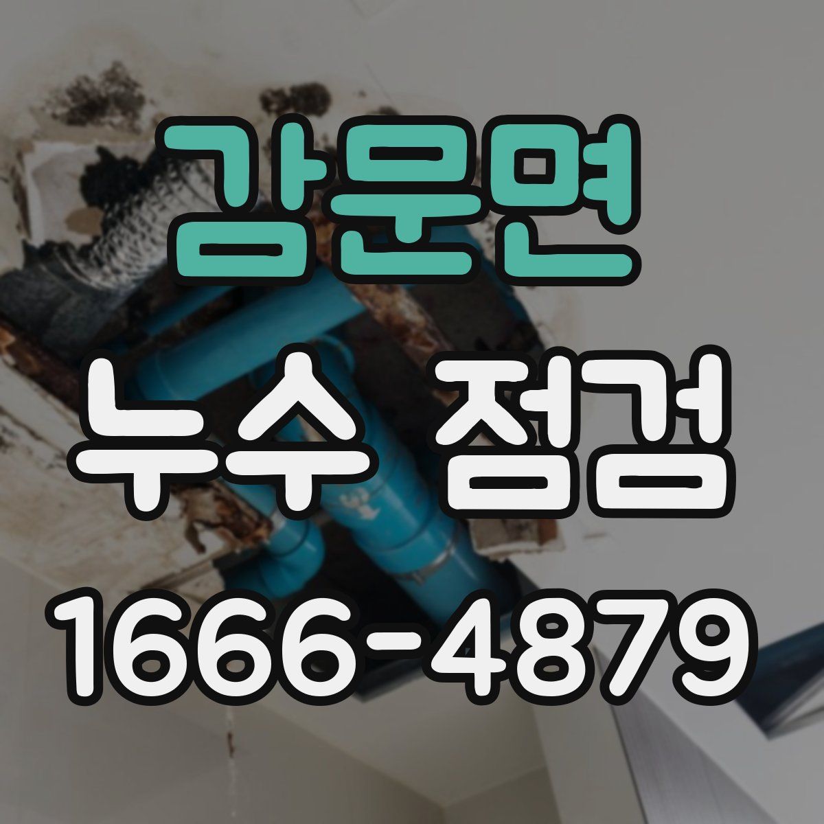 감문면 누수 점검