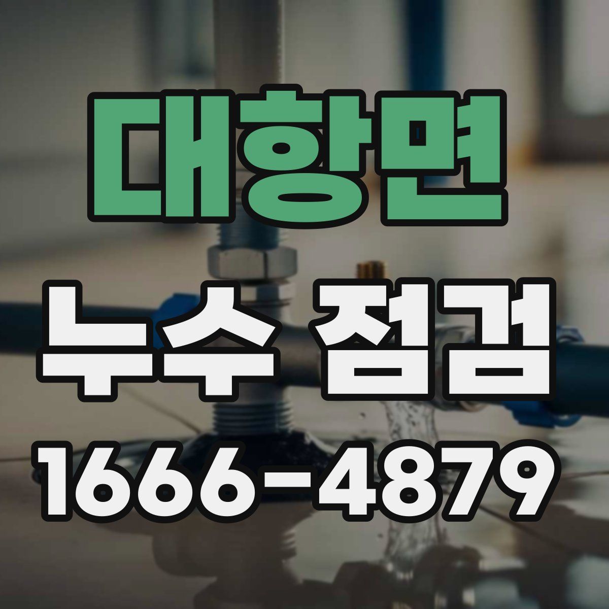 대항면 누수 점검