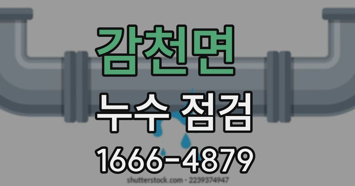 감천면 누수 점검