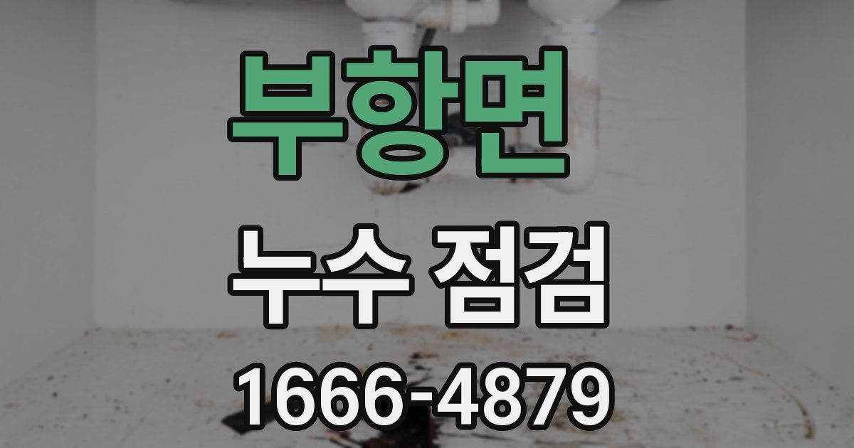 부항면 누수 점검