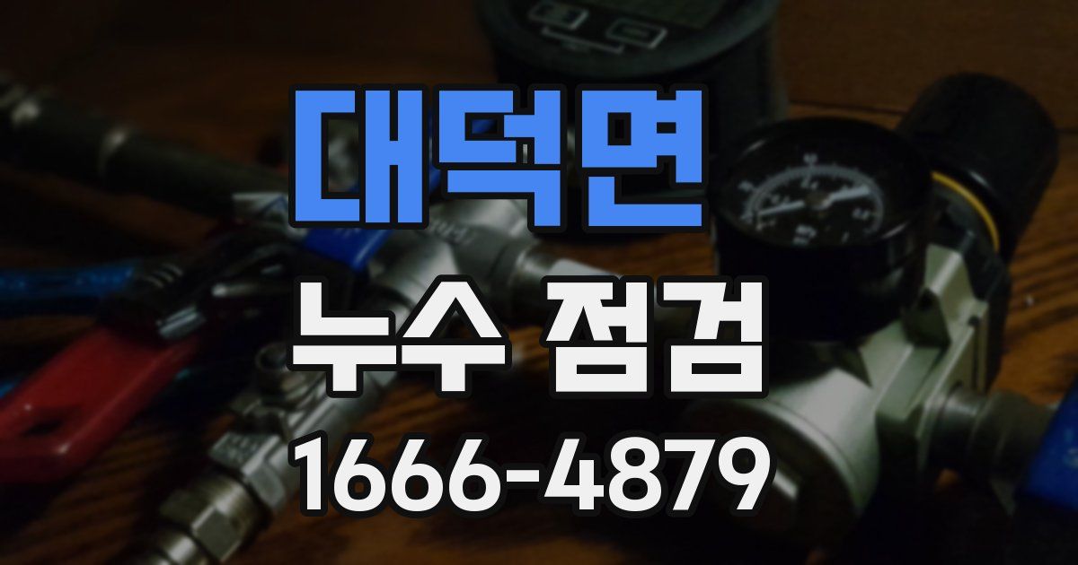 대덕면 누수 점검
