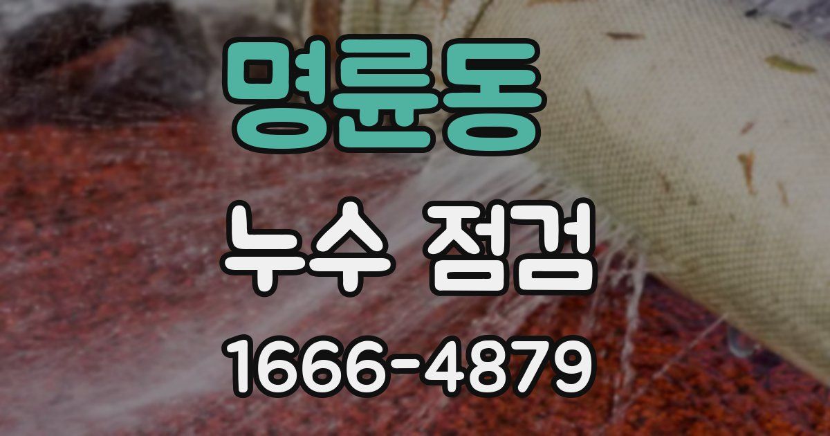 명륜동 누수 점검