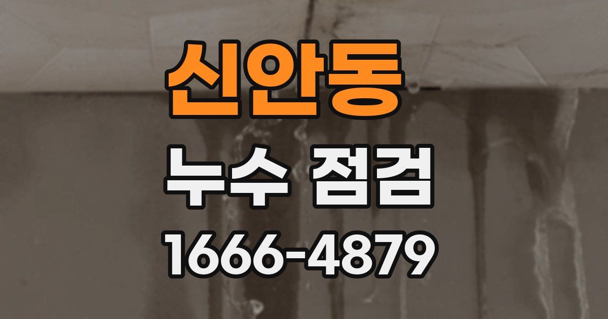 신안동 누수 점검