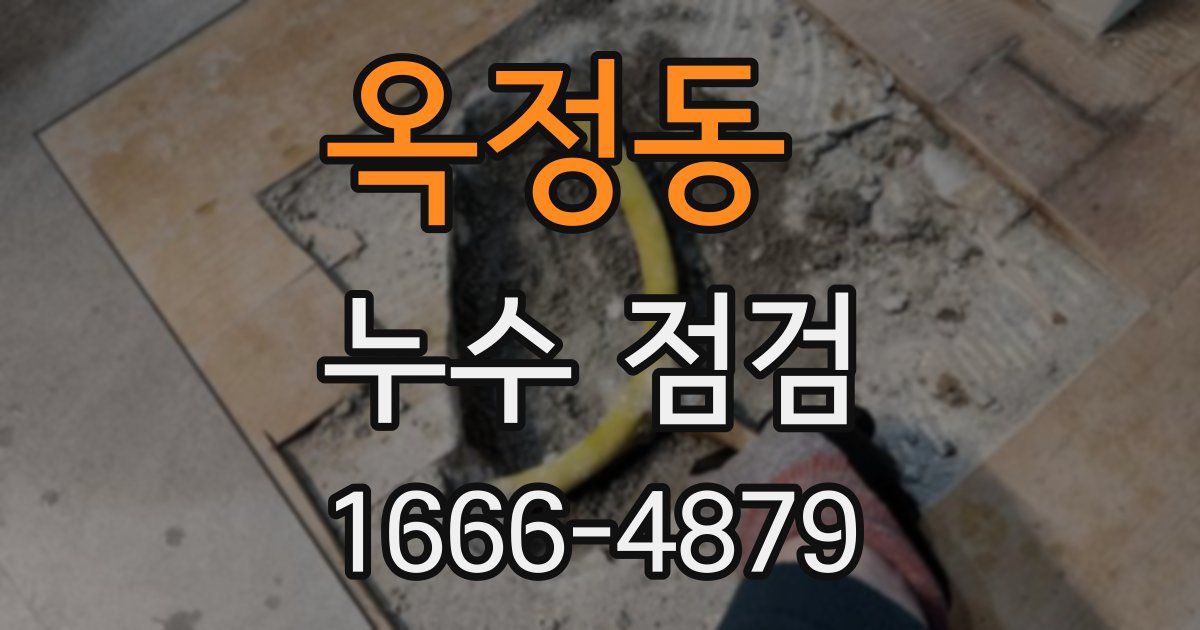 옥정동 누수 점검