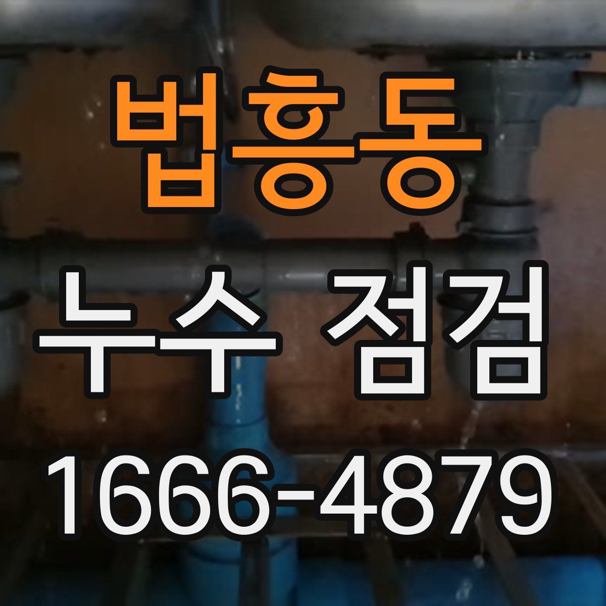 법흥동 누수 점검
