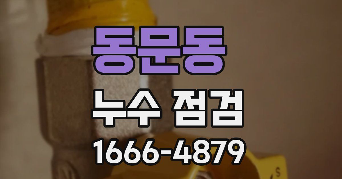 동문동 누수 점검