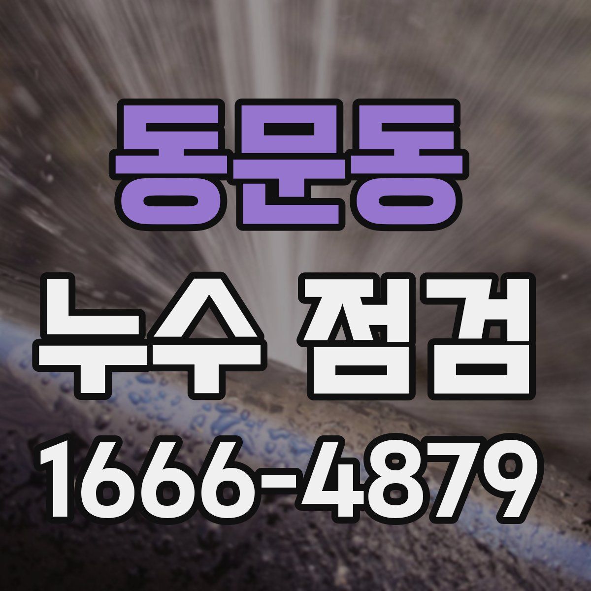 동문동 누수 점검