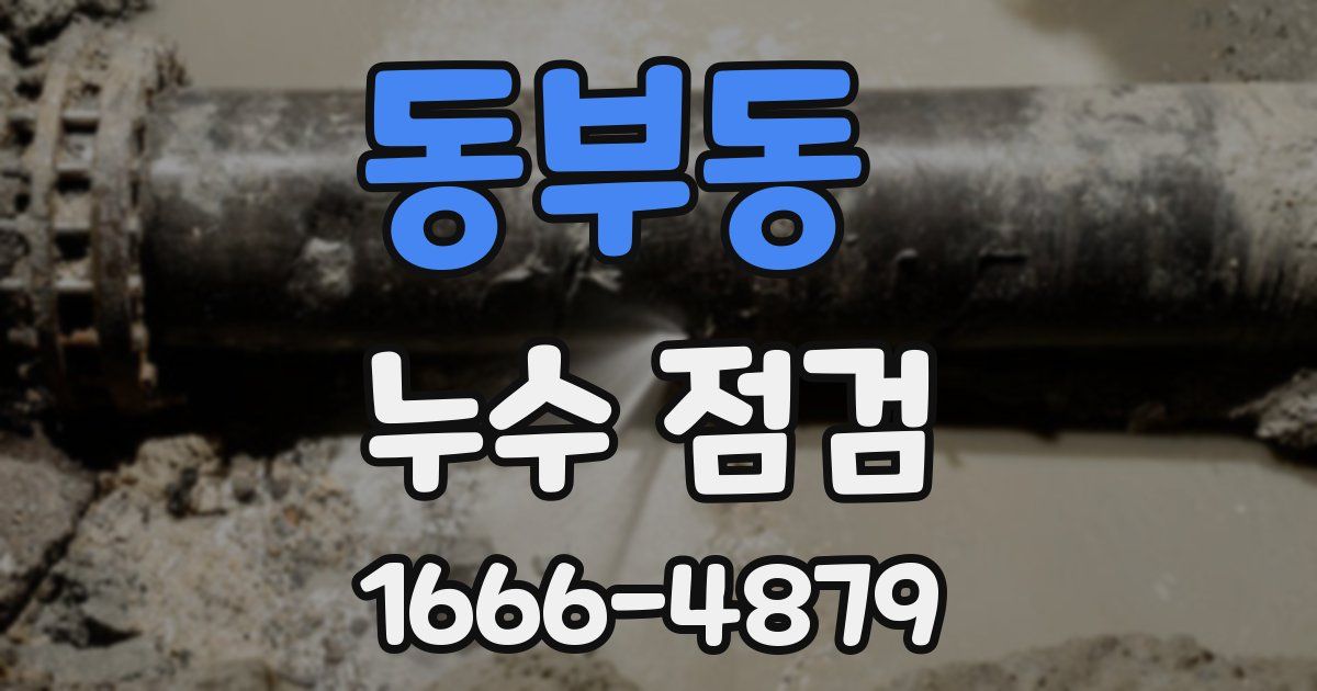 동부동 누수 점검