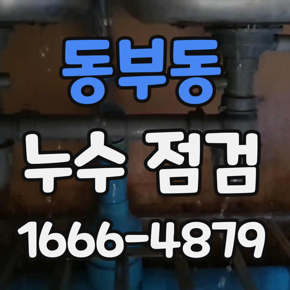 동부동 누수 점검
