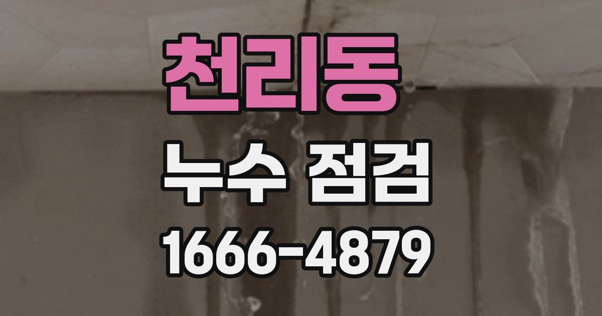 천리동 누수 점검