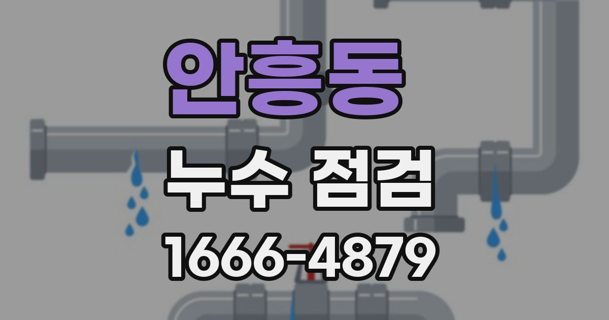 안흥동 누수 점검