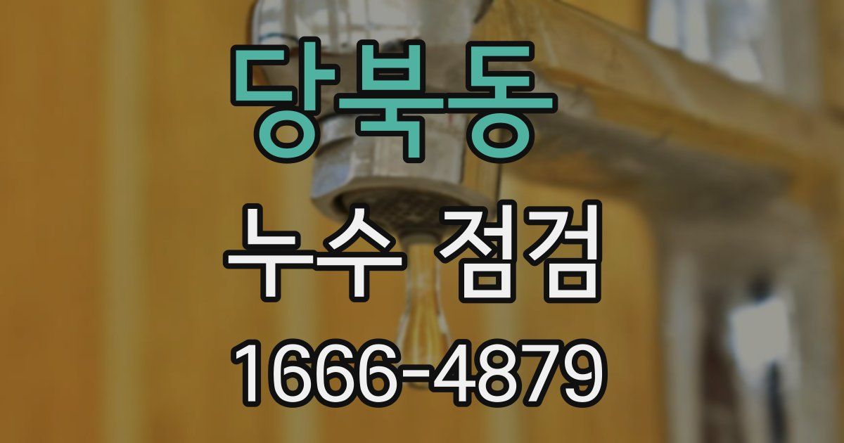 당북동 누수 점검