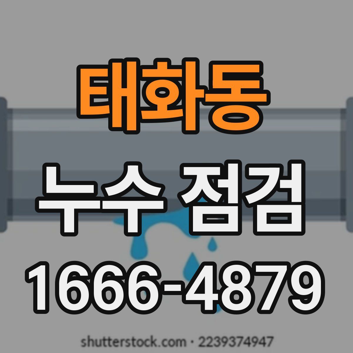 태화동 누수 점검