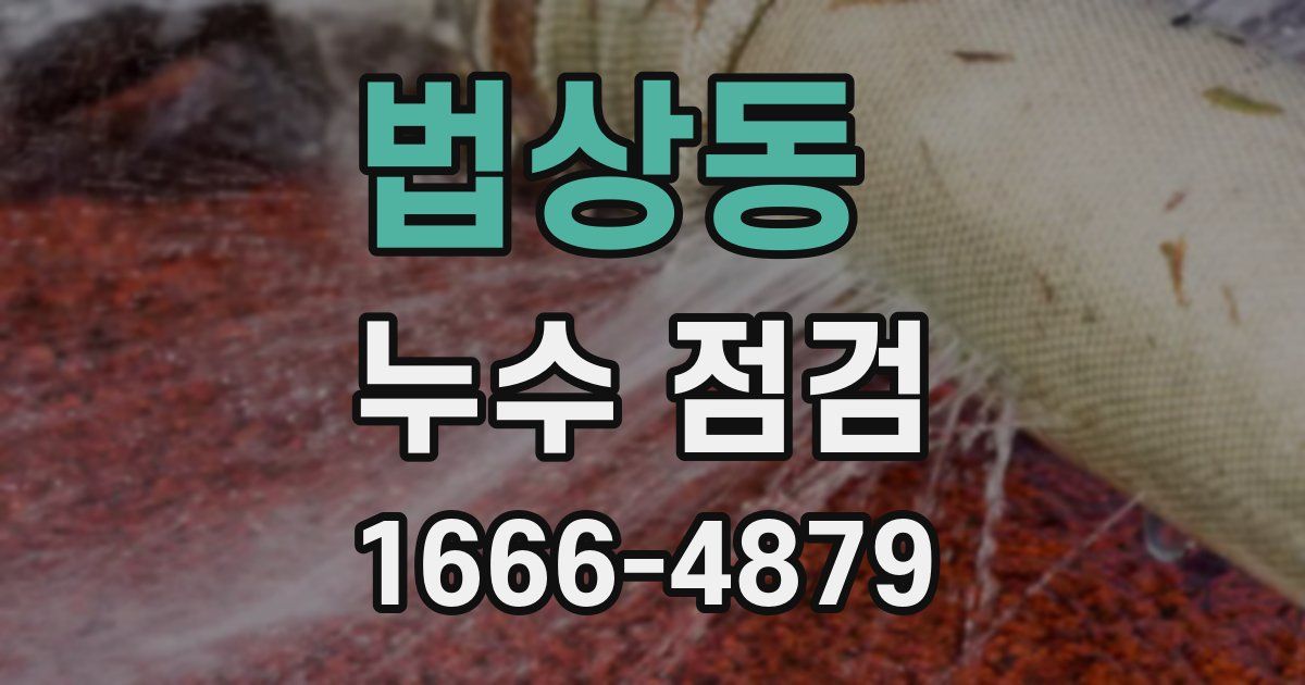 법상동 누수 점검
