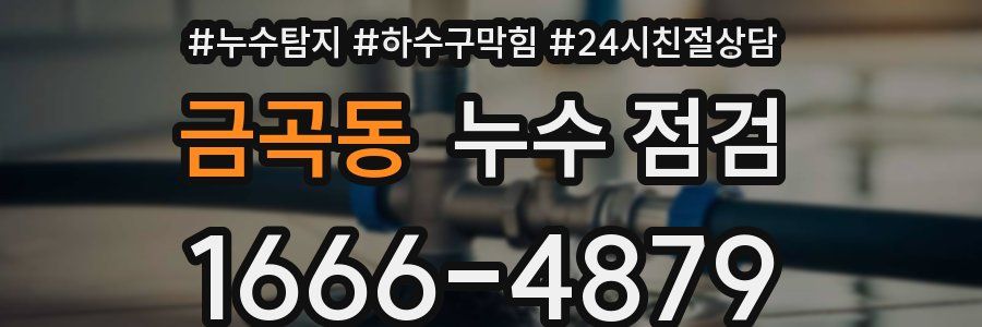 금곡동 누수 점검