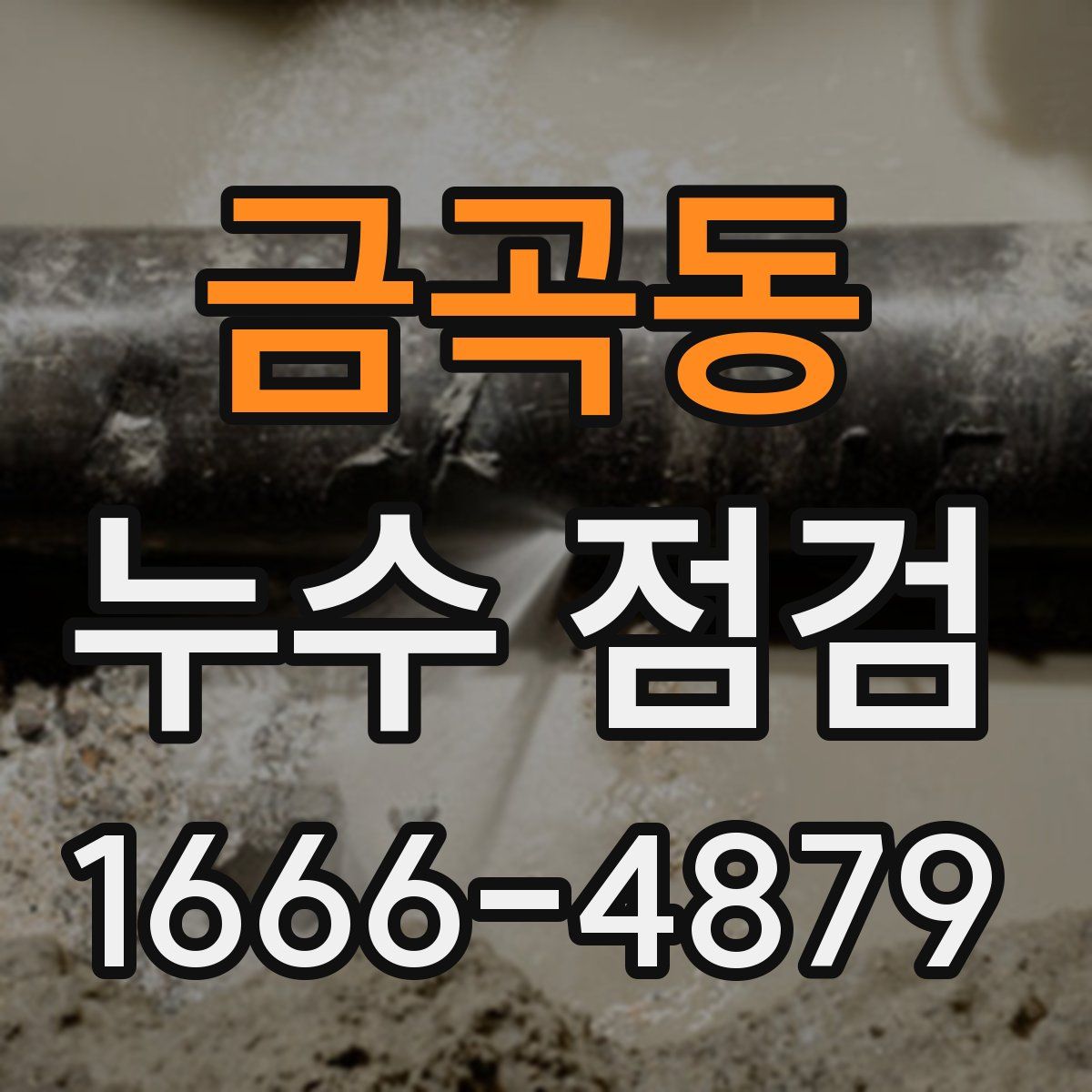 금곡동 누수 점검