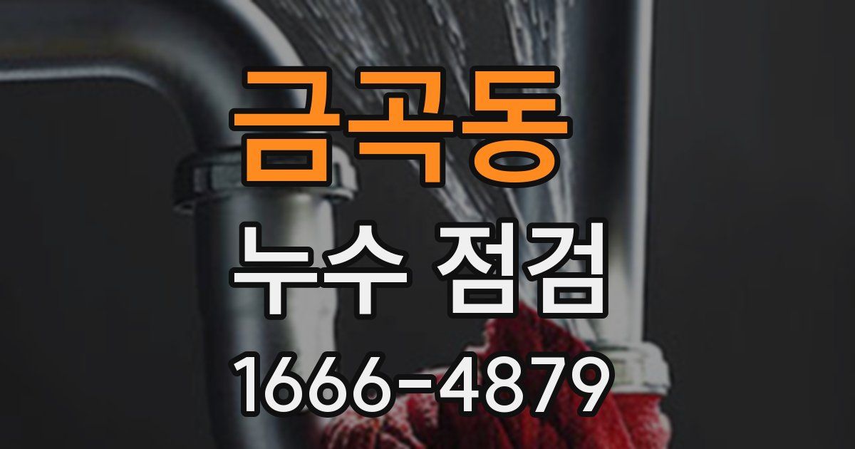 금곡동 누수 점검