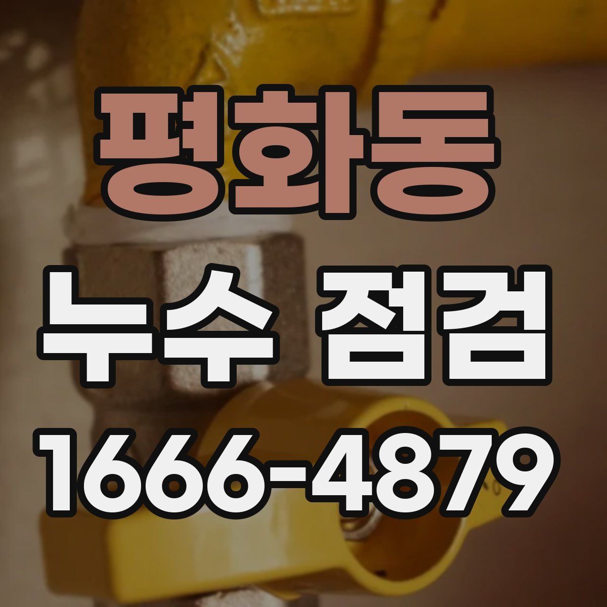 평화동 누수 점검