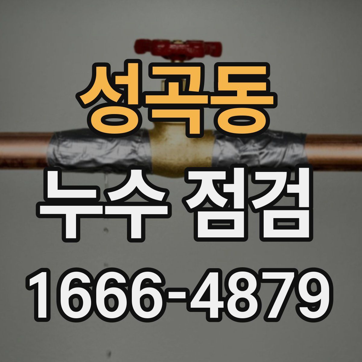 성곡동 누수 점검