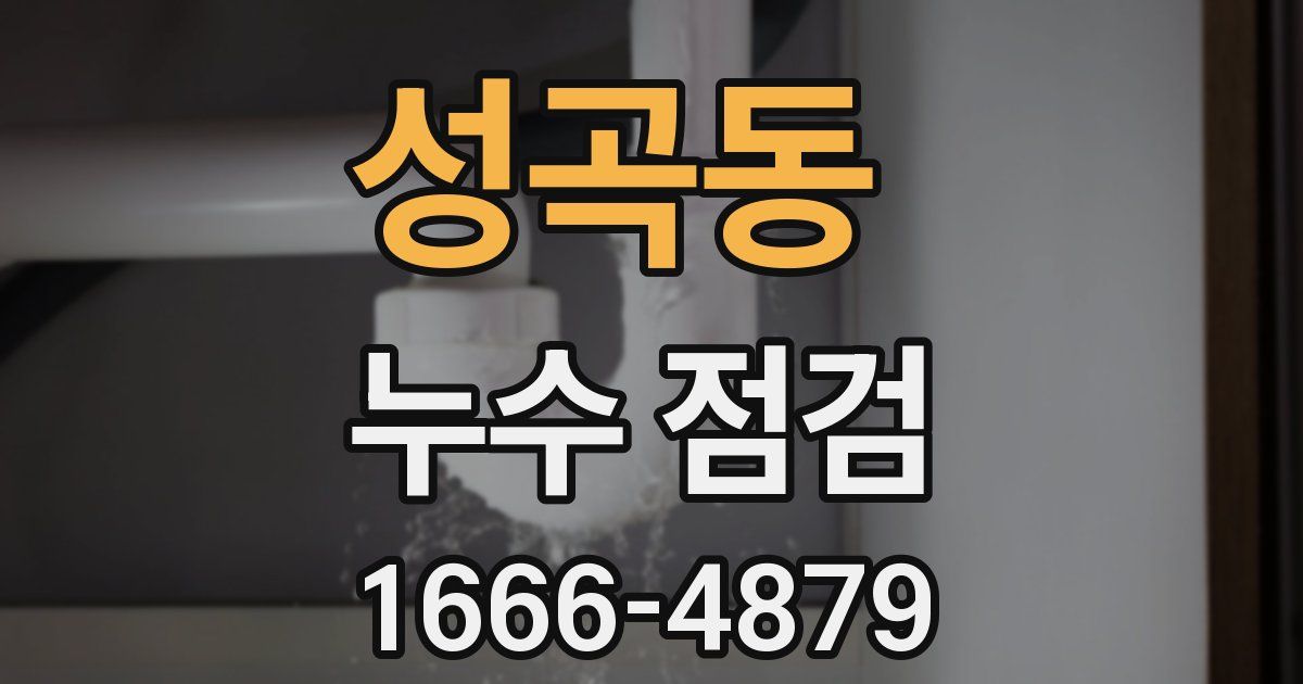 성곡동 누수 점검