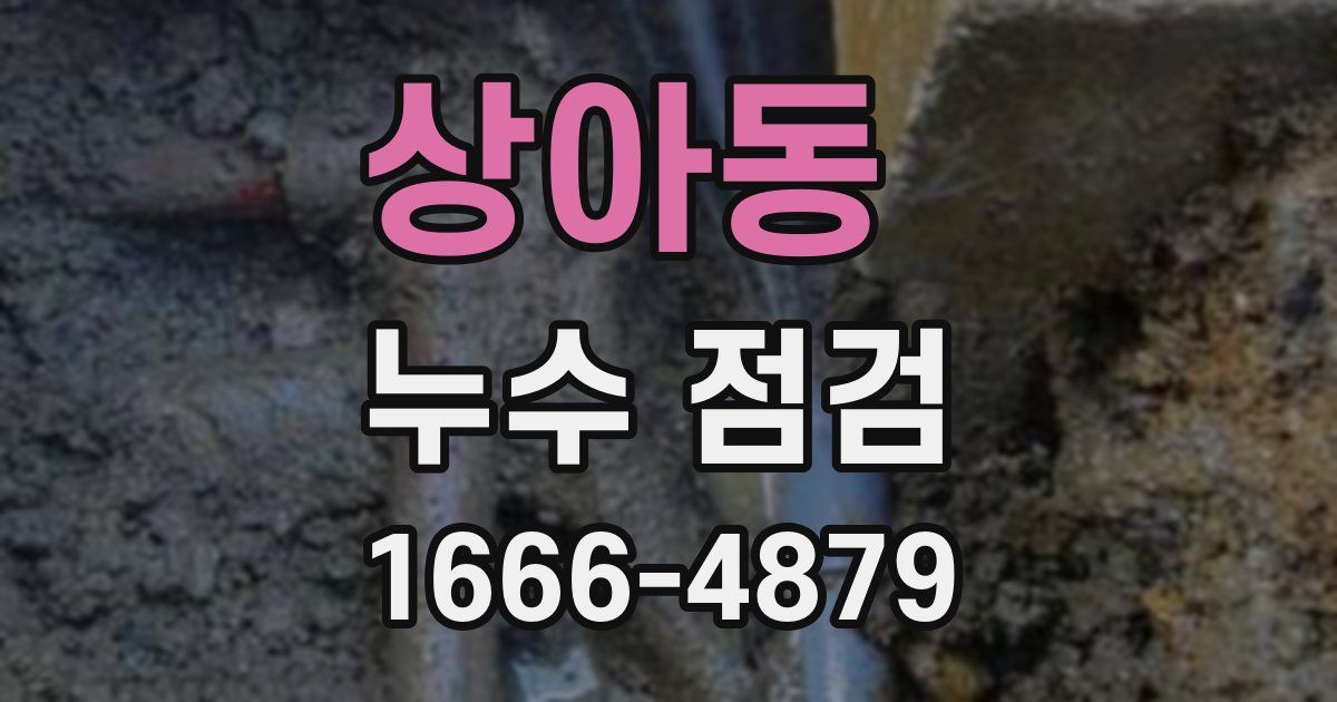 상아동 누수 점검