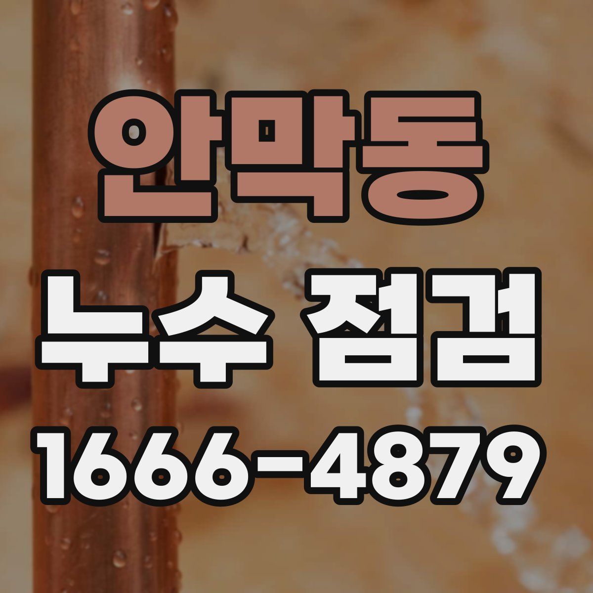 안막동 누수 점검