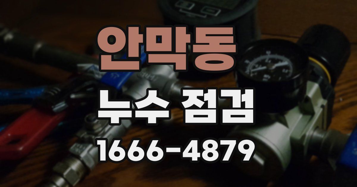 안막동 누수 점검