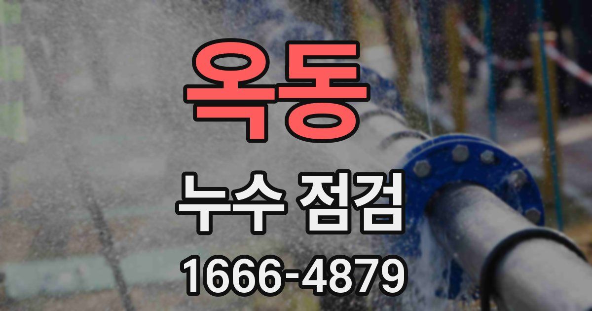 옥동 누수 점검